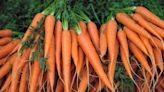 Esta es la forma de mantener las zanahorias frescas más tiempo
