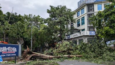 颱風摩羯登陸 越南河內市3000路樹倒塌 (圖)