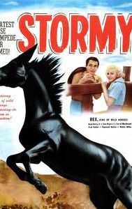 Stormy (1935 film)