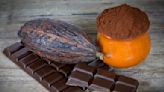 Where are cocoa prices headed next? | Invezz