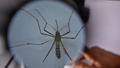 Alerta por el aumento de dengue en Santander: 10 personas han muerto