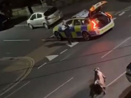 Police launch criminal investigation after officer was filmed running over cow