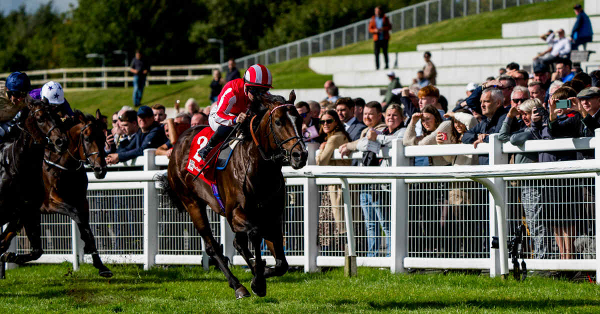 Bradsell, Lake Victoria Secure Breeders' Cup Berths With Group 1 Wins At The Curragh