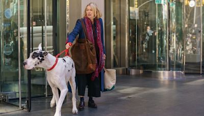 How Naomi Watts Prepared to Work With Bing, Her 145 Pound Great Dane Co-Star in ‘The Friend’