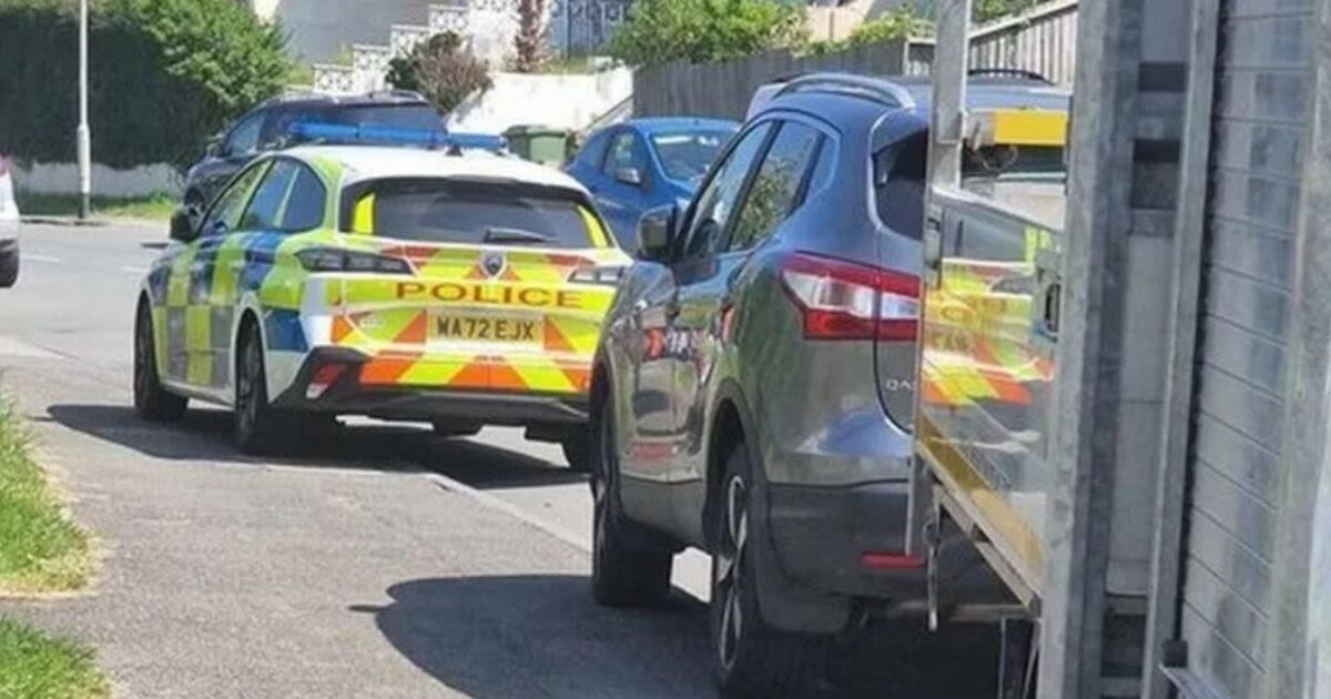 Armed cops put Plymouth estate on lockdown after 'machete attack'