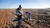 Once a laborer, this immigrant now owns his farm. He and his daughter are among few Hispanic farmers in Texas.