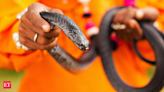 Man caught smuggling over 100 live snakes hidden in trousers - The Economic Times