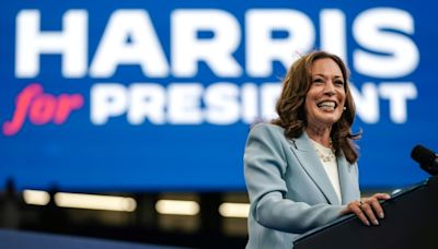 Democrats vote to nominate Harris amid Trump race remark outrage