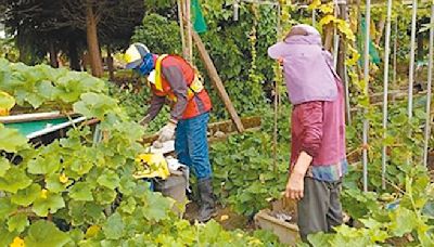 高雄鳳山 爆入夏首波登革熱群聚 - 地方新聞