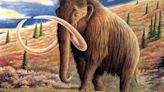 ¿Jurassic Park? Una empresa planea obtener ganancias resucitando especies extintas como al mamut lanudo