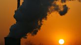 Carbon offsets are largely ineffective, says corporate climate action group
