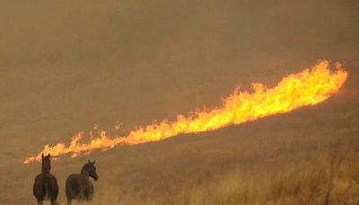 Acusan a programa de seguros de viviendas de California de vender pólizas con cobertura contra incendios deficiente