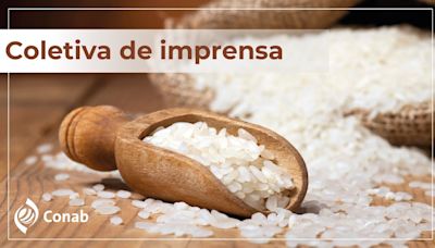 Coletiva de Imprensa - resultado do leilão de aquisição de arroz pela Conab - Jornal A Plateia