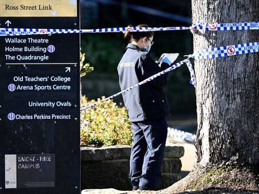 Sydney: Boy, 14, dressed in military clothing stabs university student in the neck