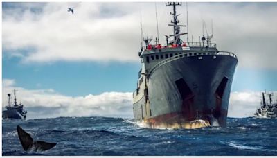 Ocean Warrior Streaming: Watch & Stream Online via Amazon Prime Video
