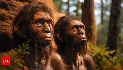 Survival secrets revealed: How Denisovans thrived on top of the world - Times of India