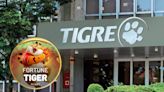Tigre faz campanha para proteger seu nome do "Jogo do Tigrinho"