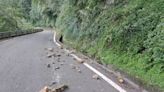 地震土石鬆動 氣象局：午後東部南部雷陣雨避免前往山區