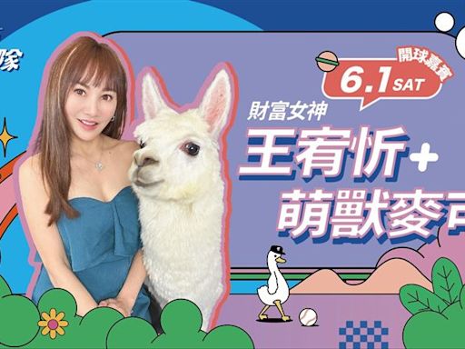 中職／富邦悍將寵物日6月登場 萌獸羊駝麥可、瑞士狼犬薩沙萌萌開球