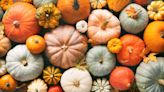 The Meaning Behind 13 Different Halloween Pumpkin Colors—Decoded
