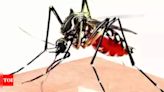 Urgent Measures Taken to Combat Dengue Outbreak in Karnataka | Bengaluru News - Times of India