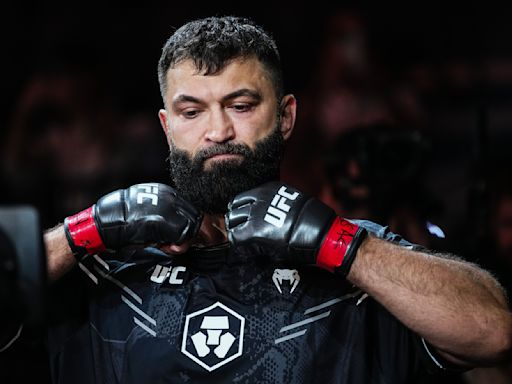 After 25 years and a UFC title, Andrei Arlovski deserved a better goodbye