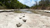 Massive dinosaur footprints exposed after drought in Texas