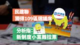 民建聯獨得109區選議席 分析指新制度下小政黨難拉票