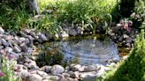 15 Koi Pond Ideas That Promise Pure Tranquility