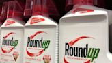 EU agency sees no major reason to block glyphosate