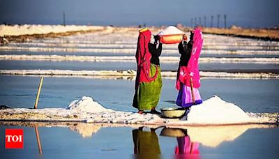 Sambhar Lake boundary demarcation and salt extraction limits | Jaipur News - Times of India