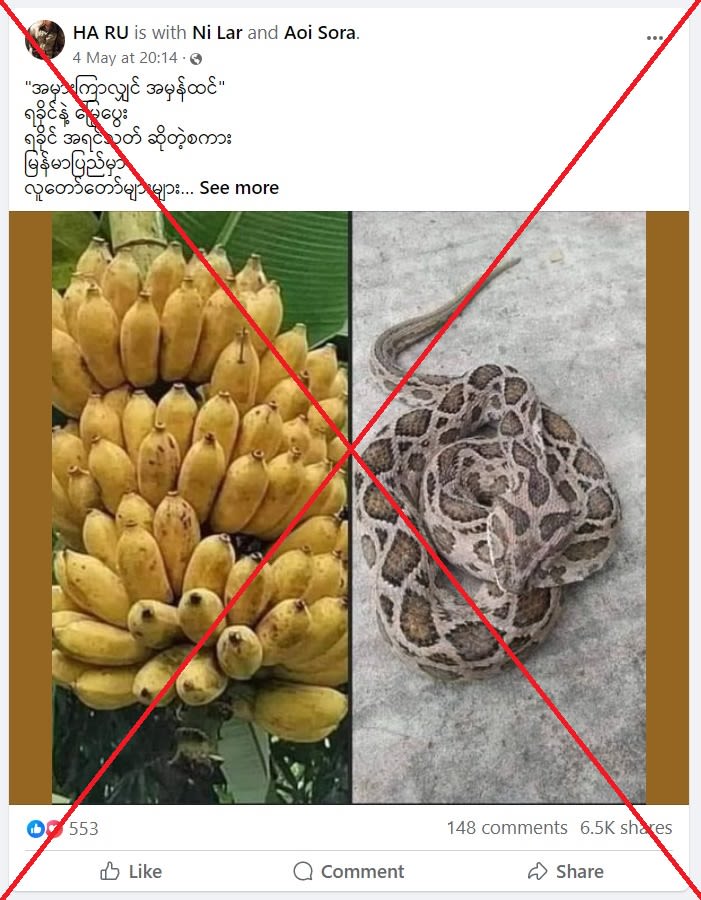 Health experts say no evidence Manzano banana can cure viper bite