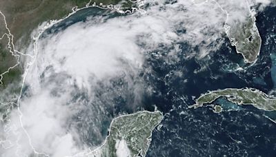 Tormenta tropical "Francine" podría llegar a EU como huracán