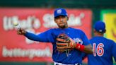 Iowa Cubs infielder Dixon Machado is eying an MLB return after overcoming an injury in 2019