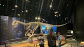 Travel: Cincinnati Museum Center offers in-depth look at prehistoric Antarctica