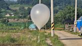 Seúl denuncia la llegada de otros más de 600 globos de basura procedentes de Pyongyang