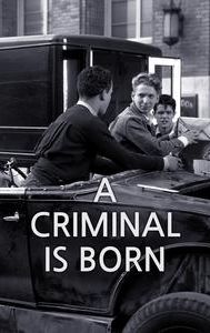 A Criminal Is Born