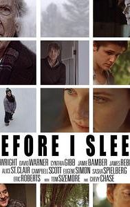 Before I Sleep (film)