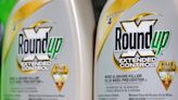 Judge cuts Bayer $2.25 billion Roundup verdict to $400 million