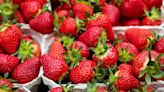 Liberty Ridge Farm to host annual Strawberry Festival