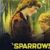 Sparrows