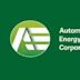 Automotive Energy Supply Corporation