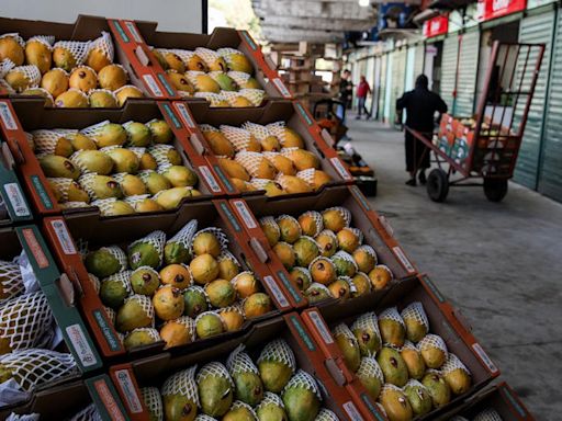 Após três meses, hortigranjeiros recuam a preços de antes da enchente | GZH