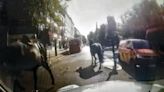 Military horses bolt through London streets again