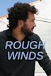 Rough Winds