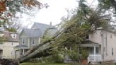 Fiona sweeps away houses, knocks out power in eastern Canada