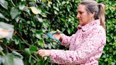 Remove ivy for good easily with the only method that 100 percent works, says pro