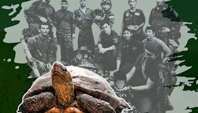 Niños del Guaviare: una tortuga fue fundamental para hallar a los menores tras 40 días perdidos en la selva