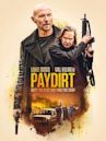 Paydirt (film)