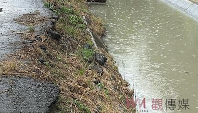 農業部長陳駿季會勘斗南農水路 劉建國積極推動灌溉設施改善 | 蕃新聞